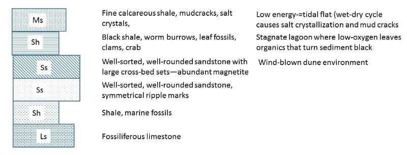 A series of rock layers, with marine limestone on the bottom, then marine shale, sandstone, a different sandstone formed by dunes, a black lagoonal shale, and a tidal flat calcareous shale with mudcracks and salt crystals.